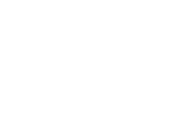 Koopmans TBI
